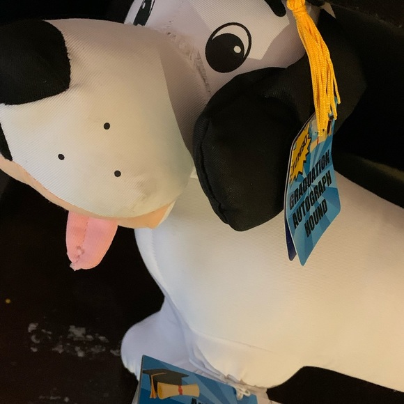 Graduation Dog - Picture 3 of 3